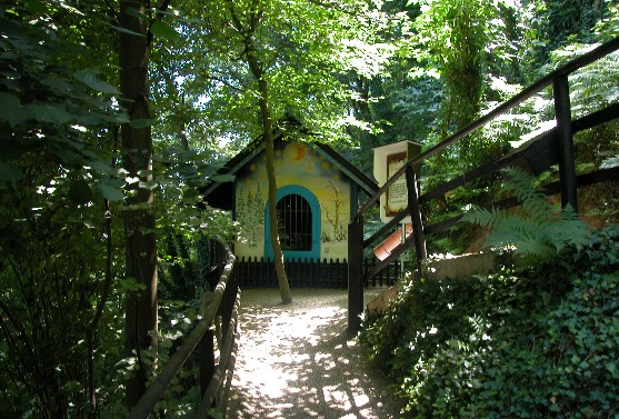 Waldblick auf das Sterntalermärchen